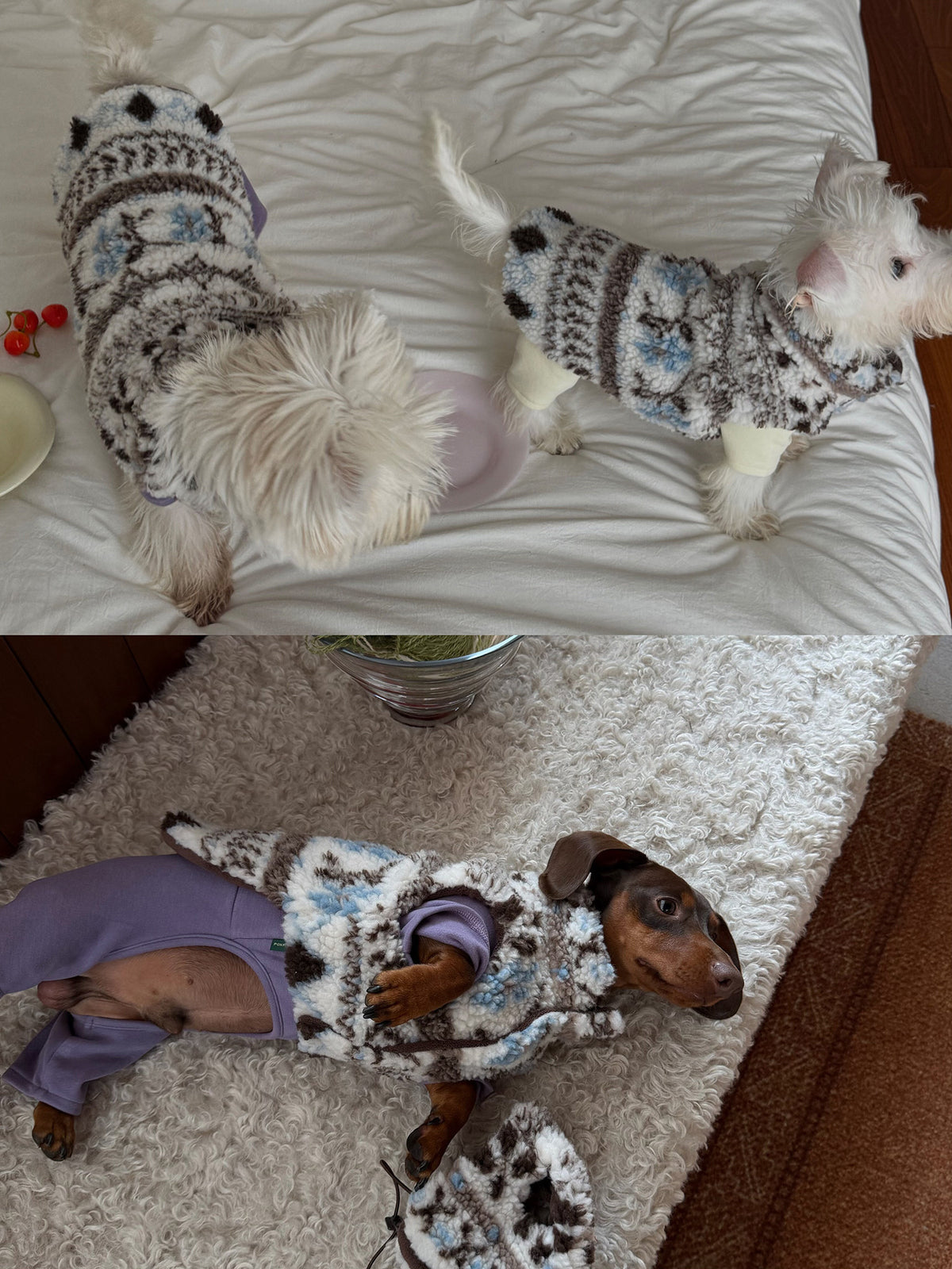 Twoll Cozy Sherpa Dog Vest & Hat
