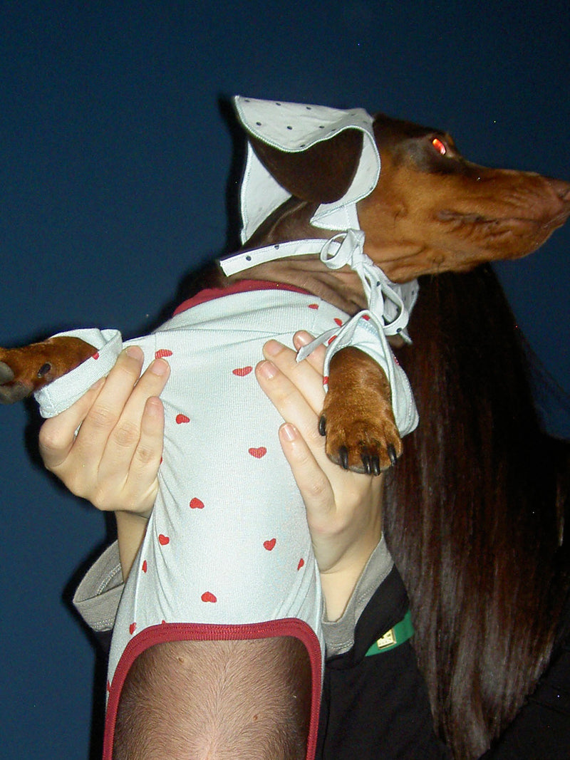 Twoll Sweet Heart Dog Onesie