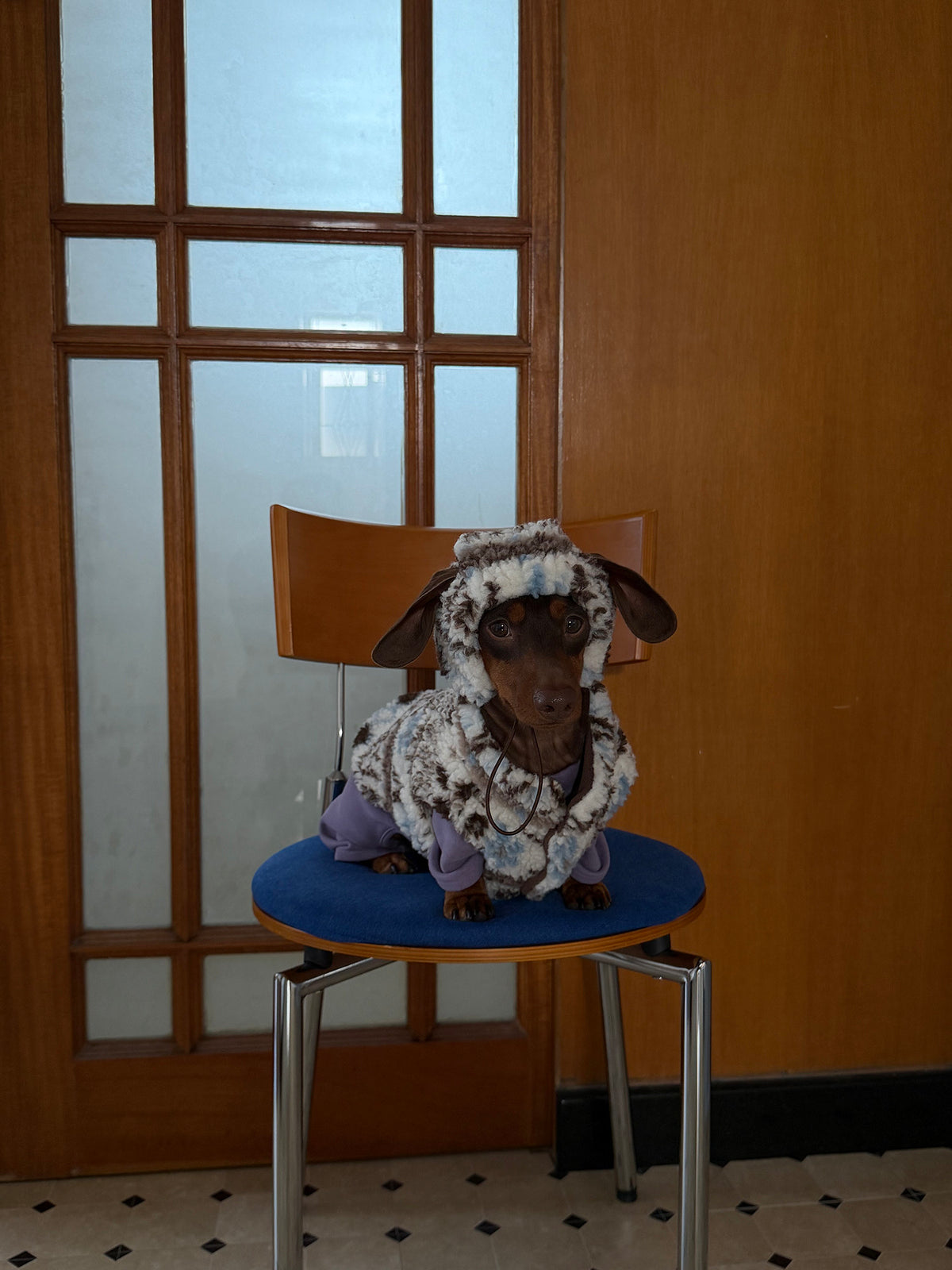 Twoll Cozy Sherpa Dog Vest & Hat