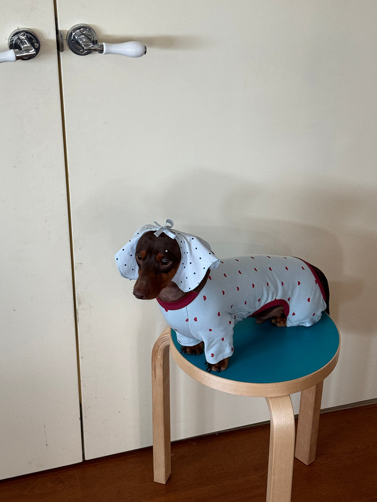 Twoll Sweet Heart Dog Onesie