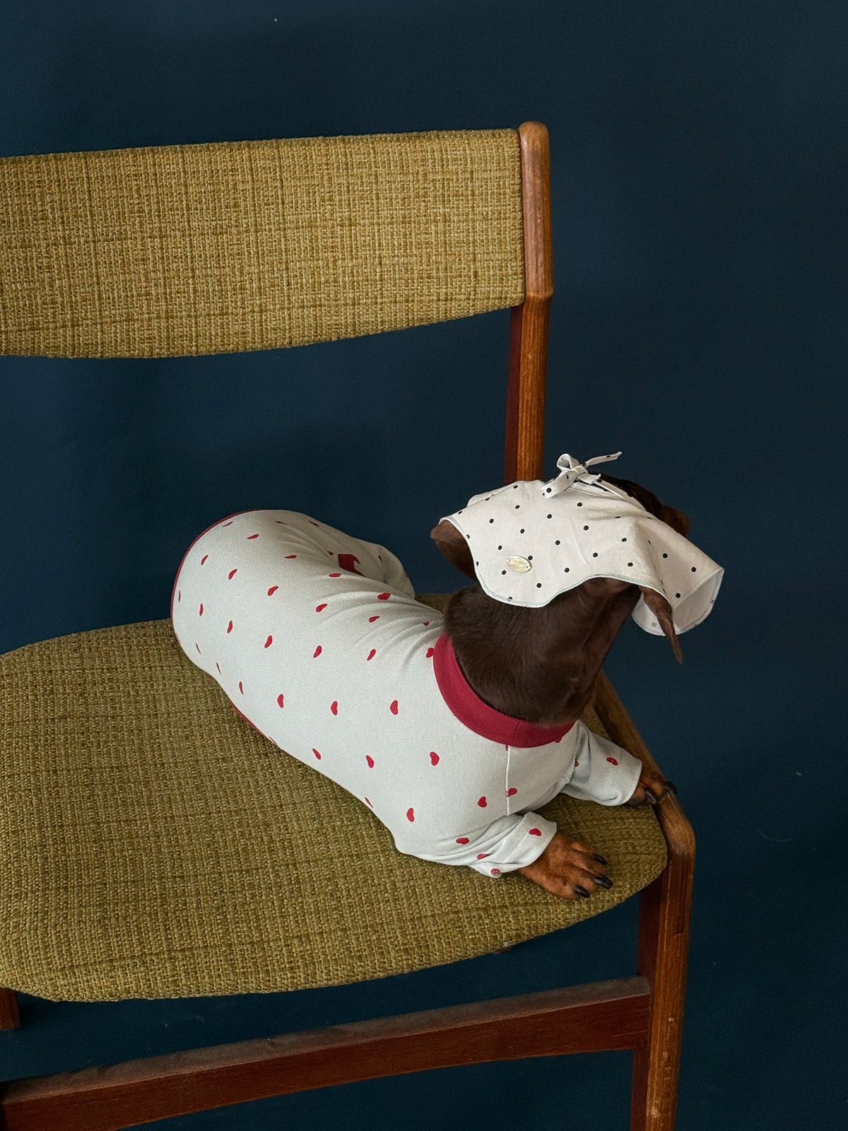 Twoll Sweet Heart Dog Onesie