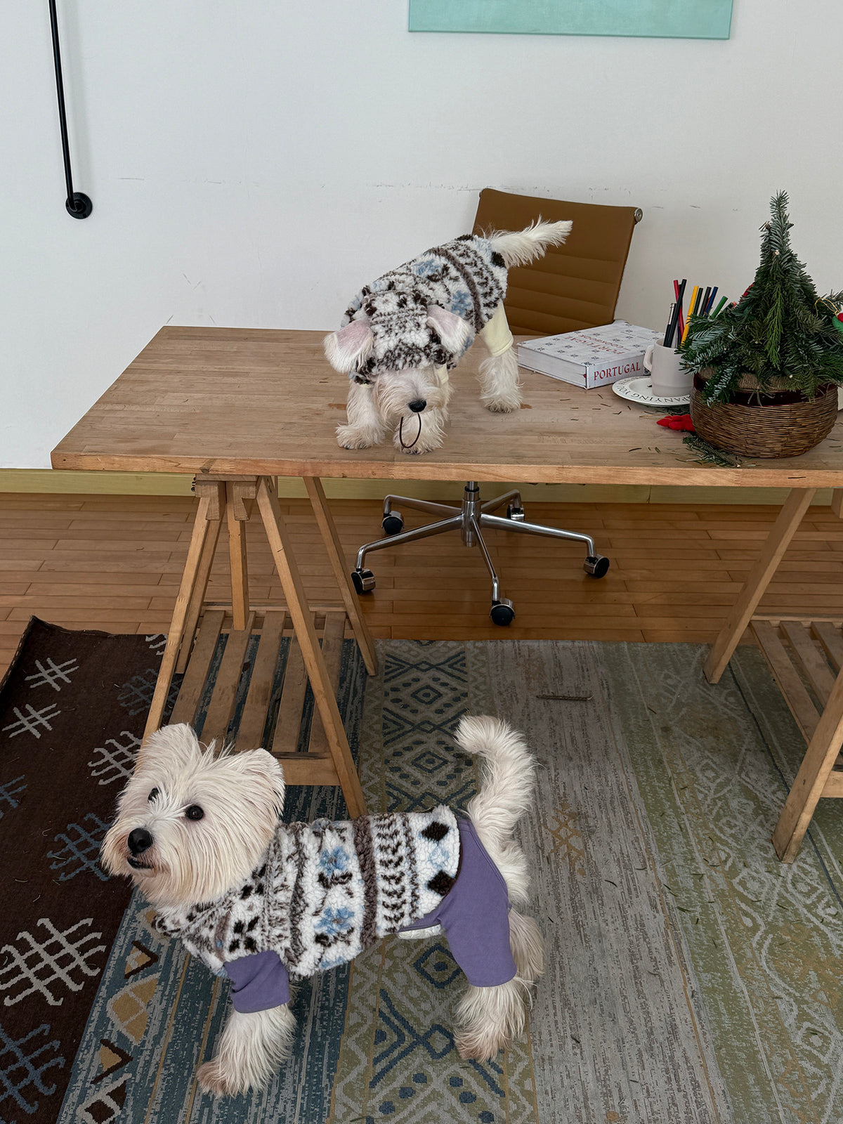 Twoll Cozy Sherpa Dog Vest & Hat