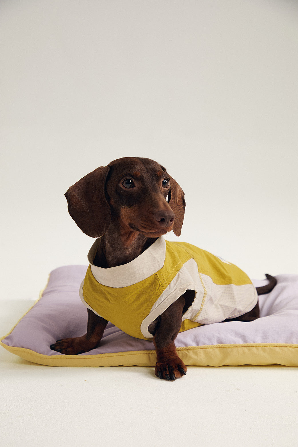Pup Fiction Striped Embroidered Sleeveless Dog Shirt