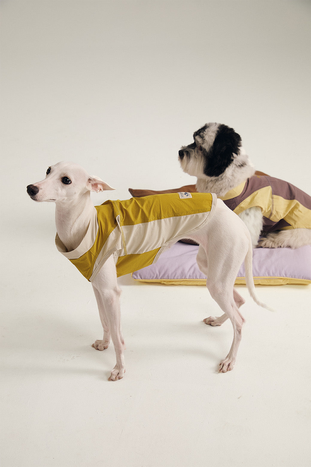 Pup Fiction Striped Embroidered Sleeveless Dog Shirt