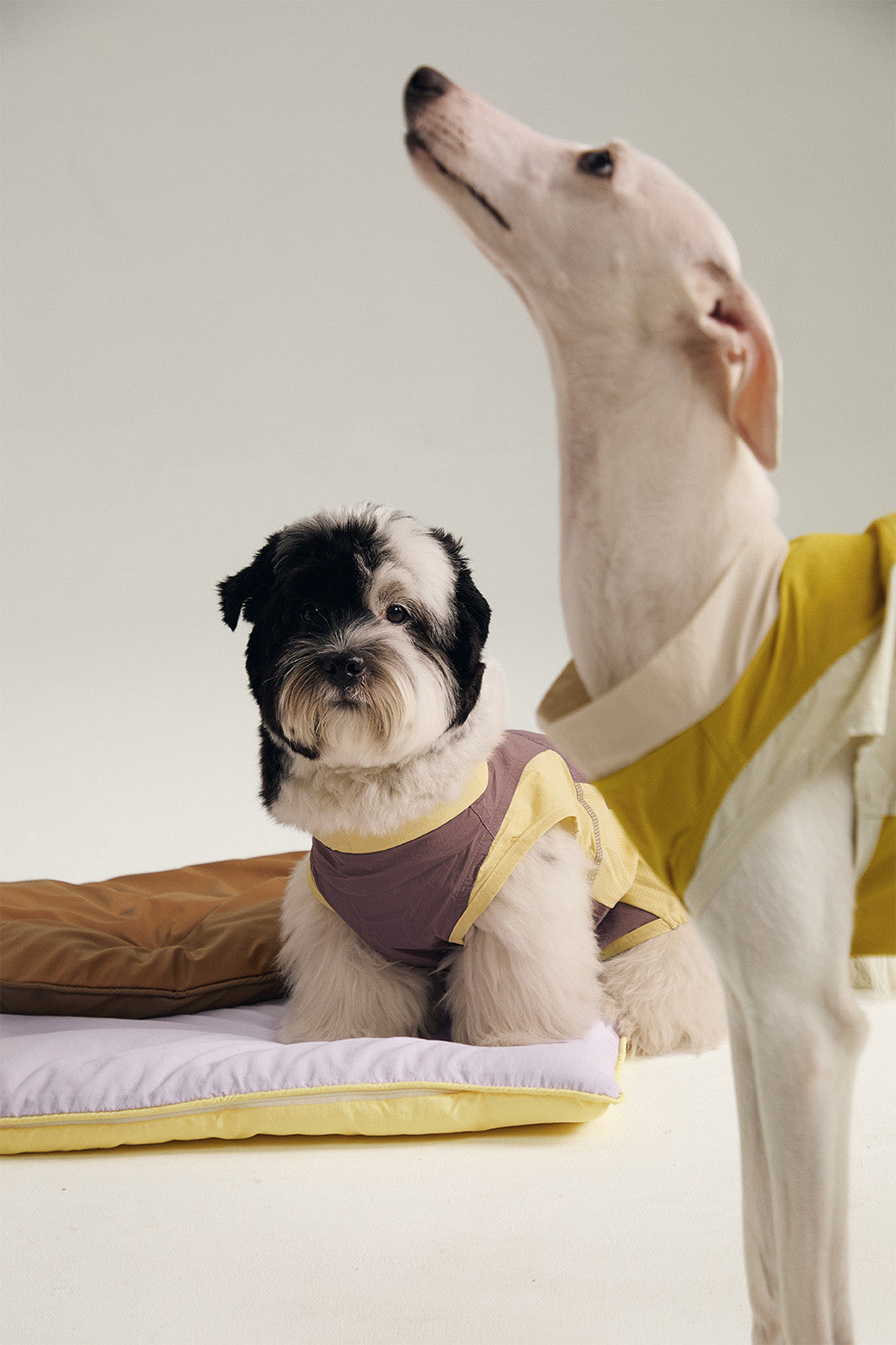 Pup Fiction Striped Embroidered Sleeveless Dog Shirt