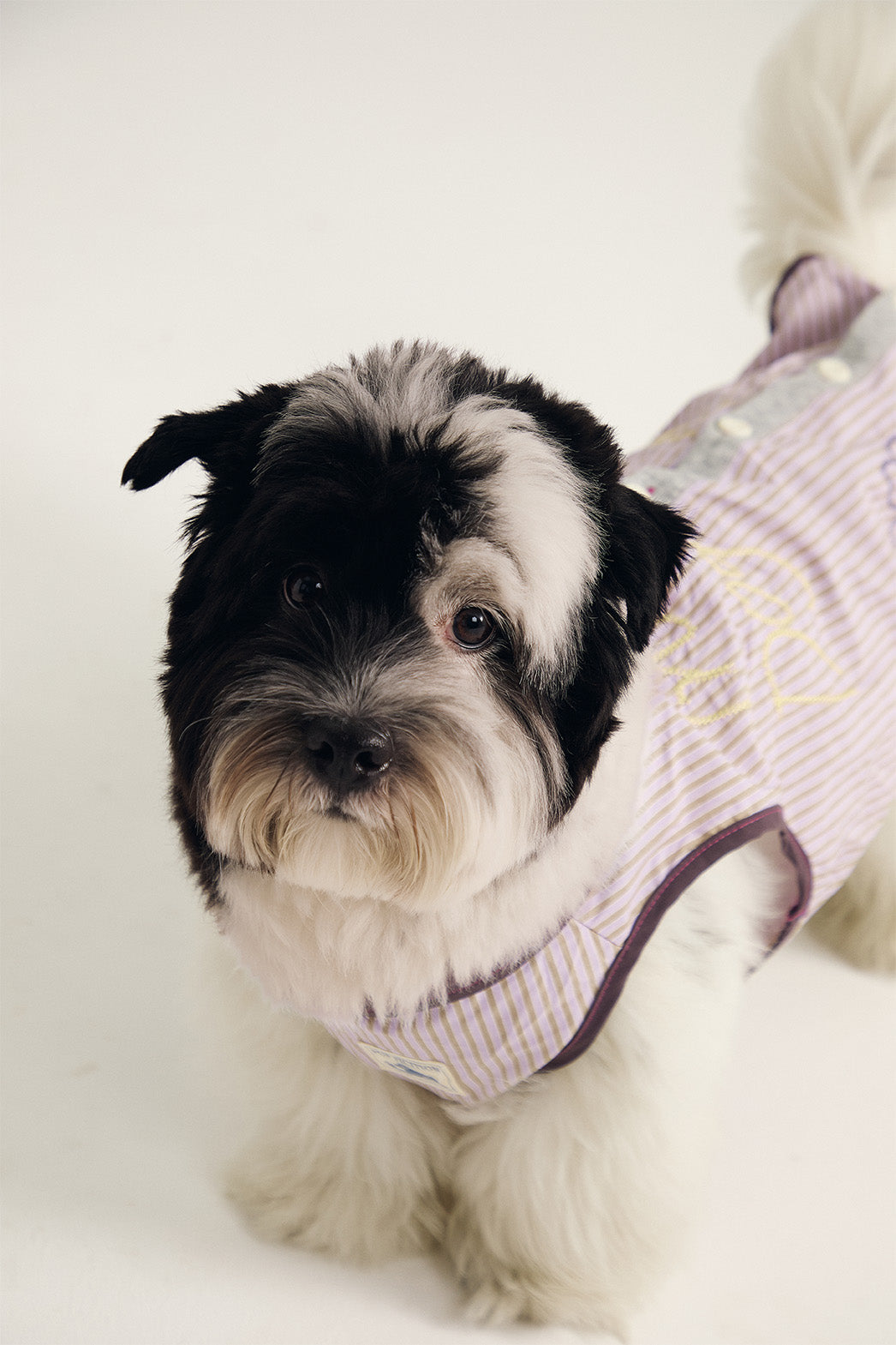 Pup Fiction Cooling Water-Resistant Quick-Dry Dog Shirt