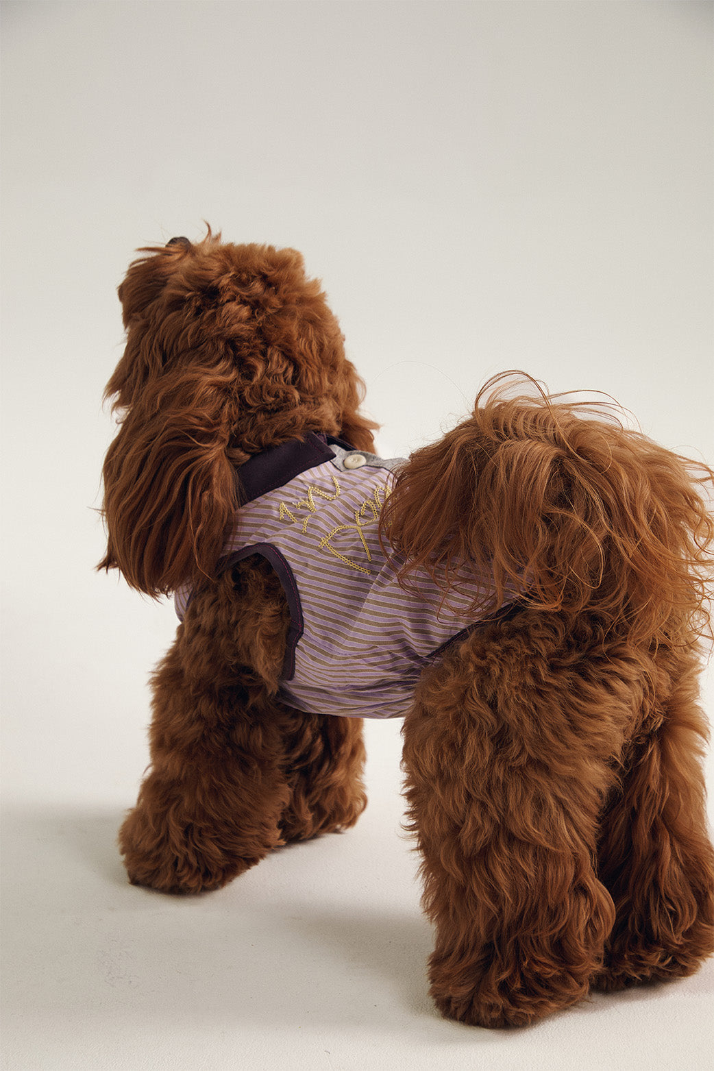 Pup Fiction Cooling Water-Resistant Quick-Dry Dog Shirt
