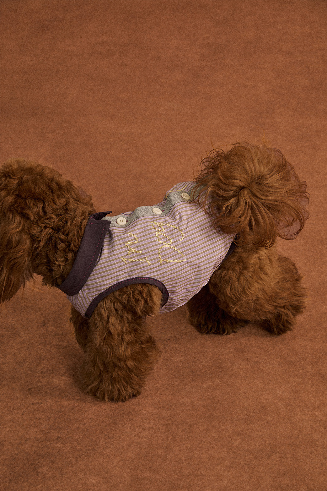 Pup Fiction Cooling Water-Resistant Quick-Dry Dog Shirt