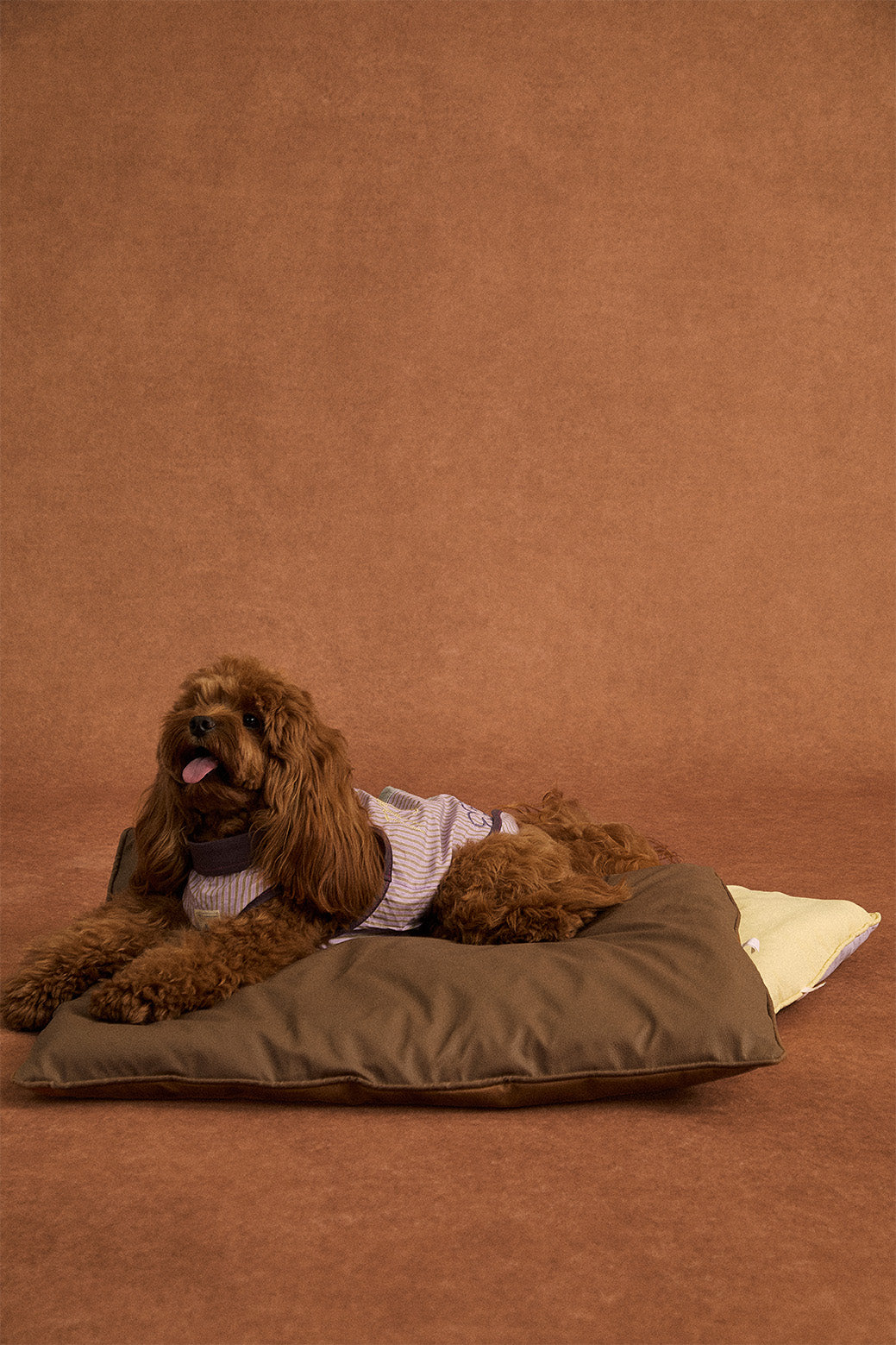 Pup Fiction Cooling Water-Resistant Quick-Dry Dog Shirt