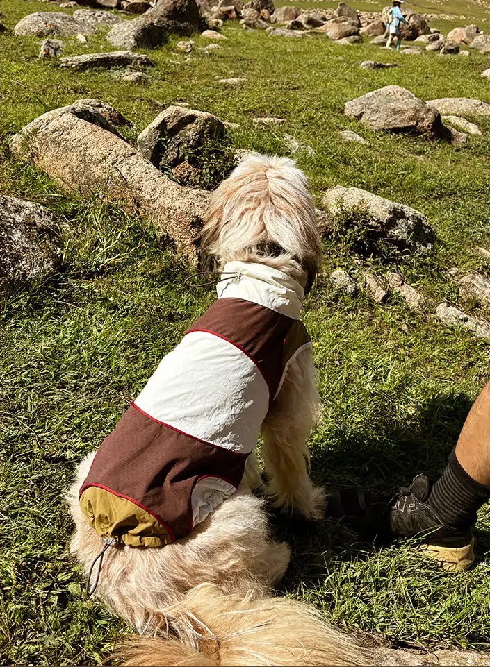 Twoll Ultralight Summer Dog Vest