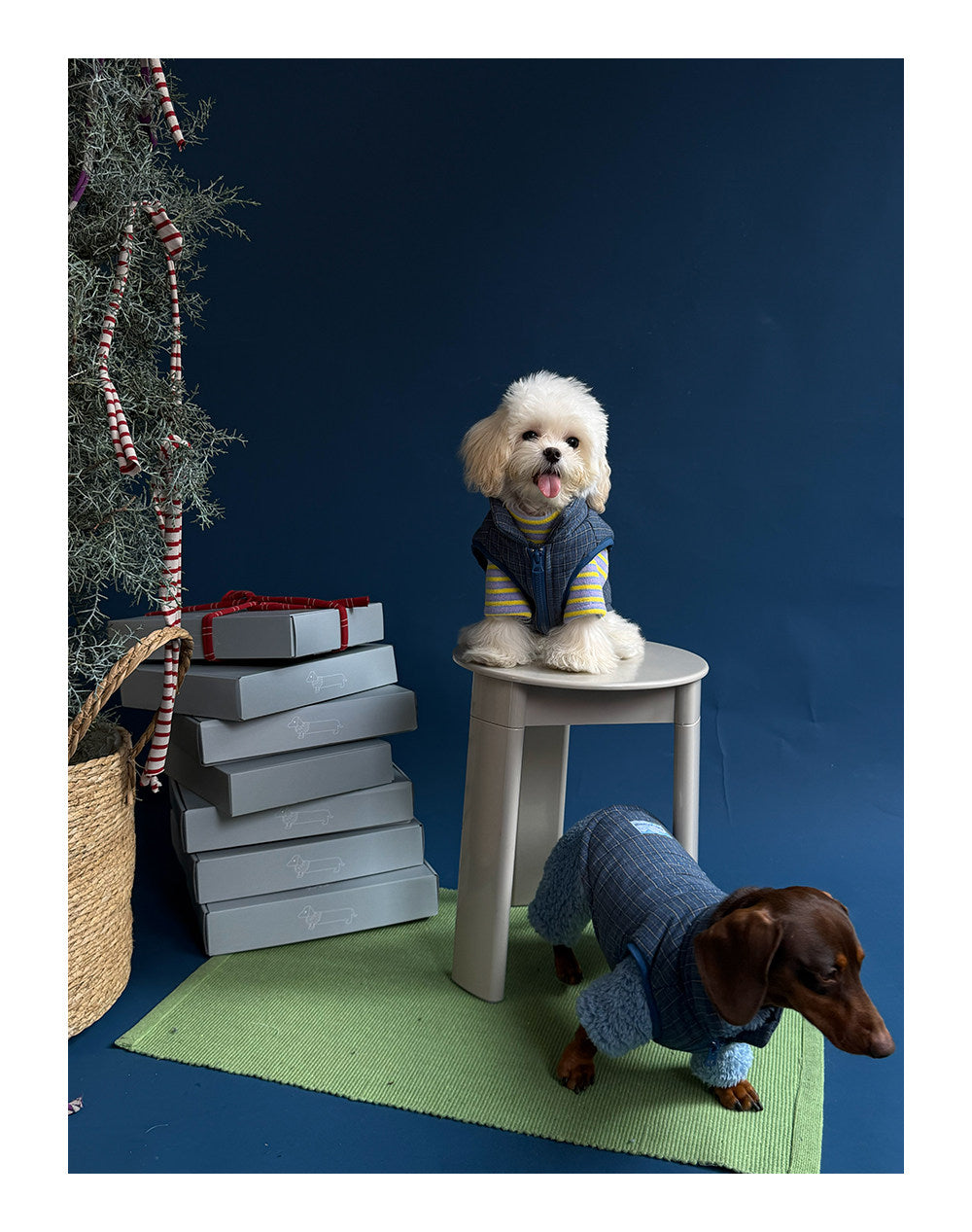 Twoll Quilted Puffer Dog Vest