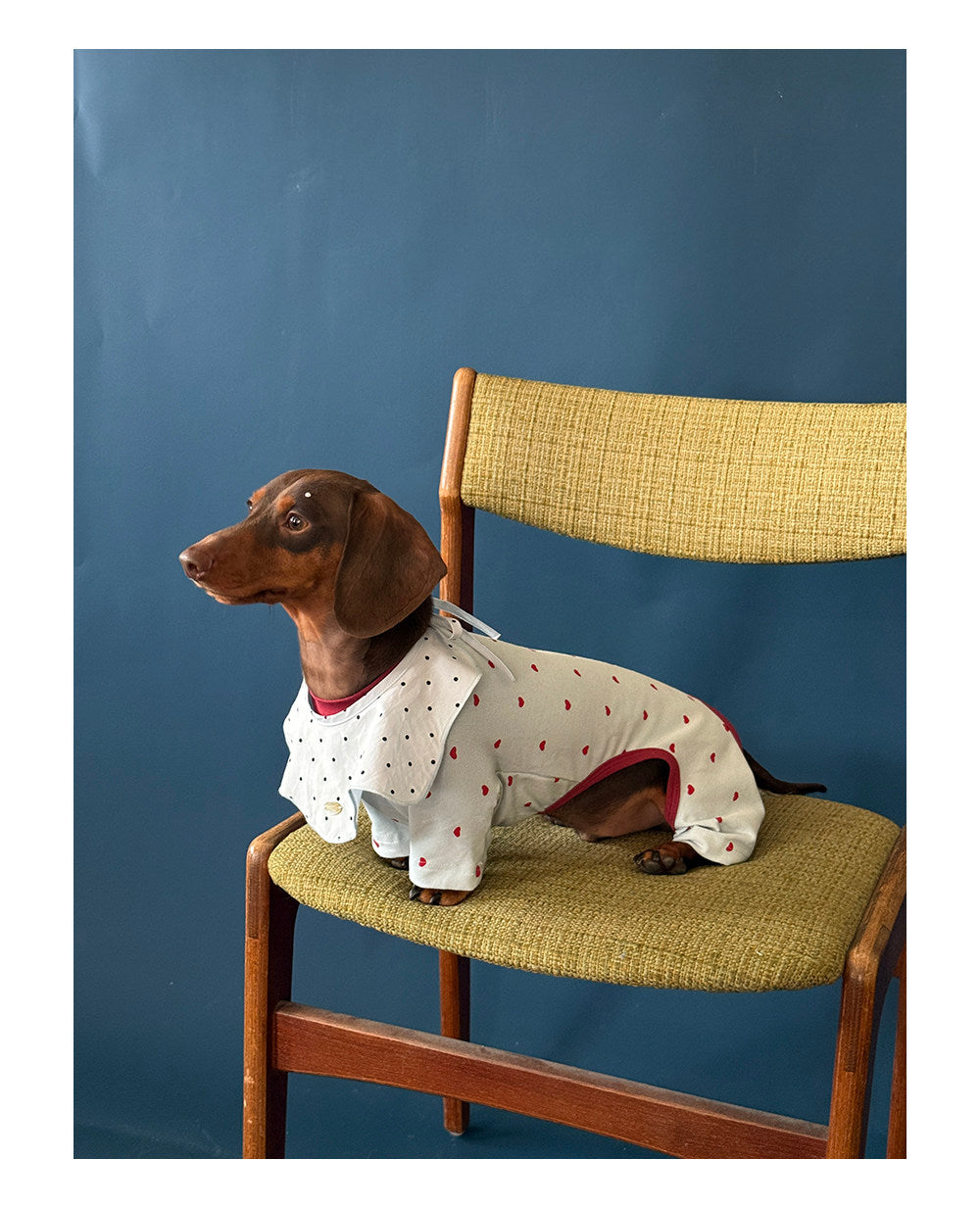 Twoll Sweet Heart Dog Onesie