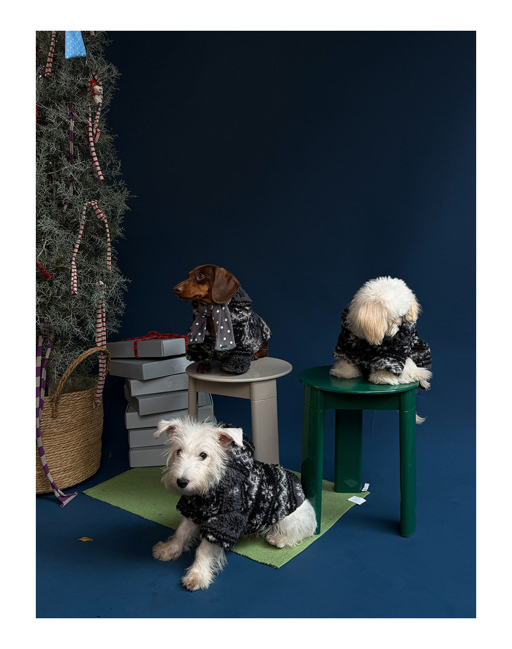 Twoll Plush Sherpa Dog Jacket