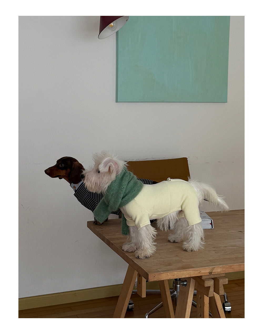 Twoll Everyday Fleece Dog Onesie