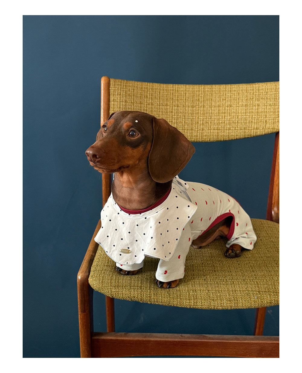 Twoll Sweet Heart Dog Onesie