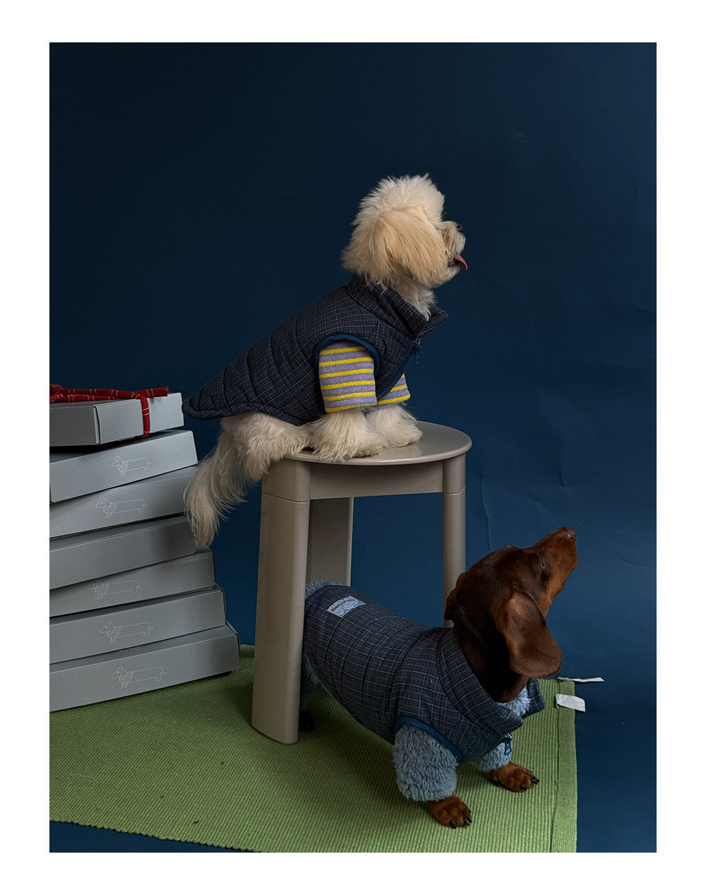 Twoll Quilted Puffer Dog Vest