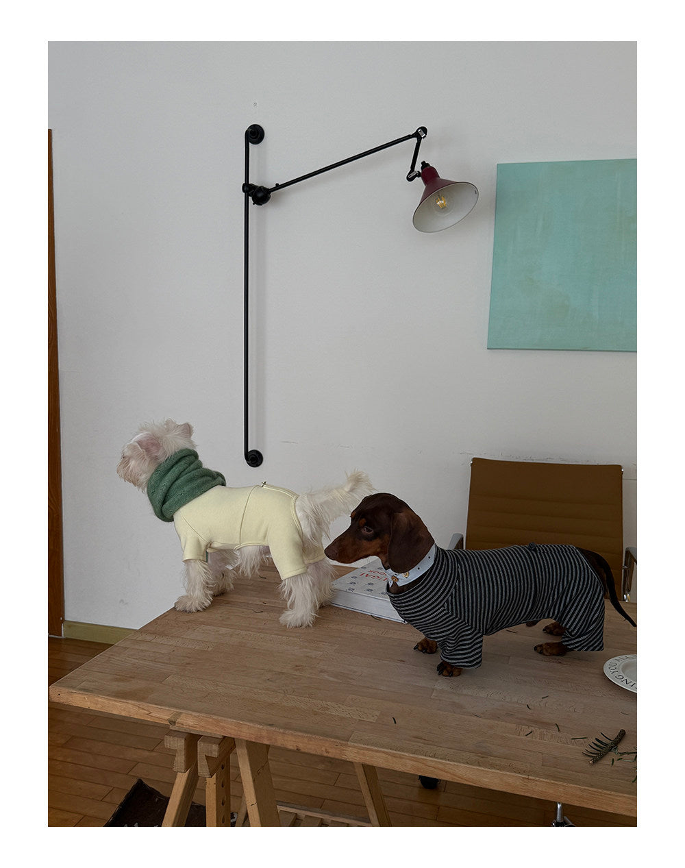 Twoll Everyday Fleece Dog Onesie