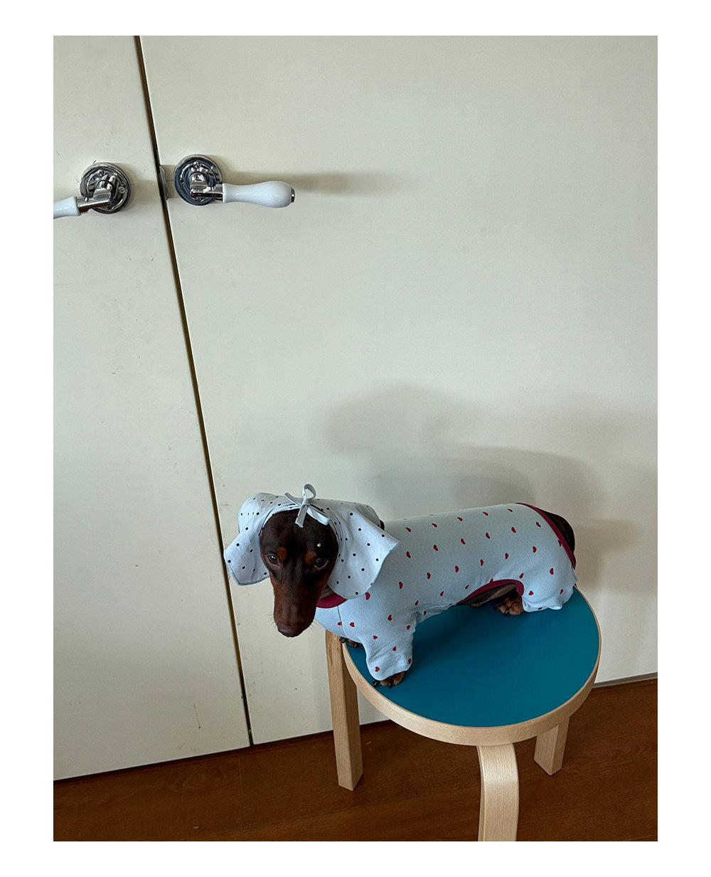 Twoll Sweet Heart Dog Onesie