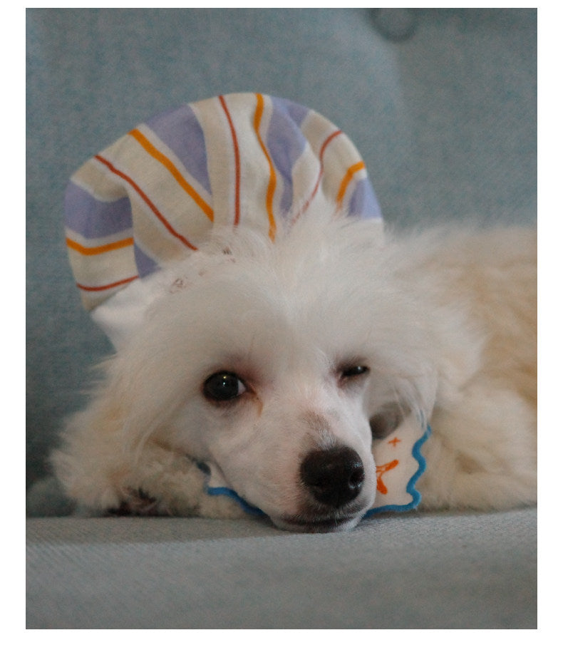 Twoll Embroidered Seashell Bandana
