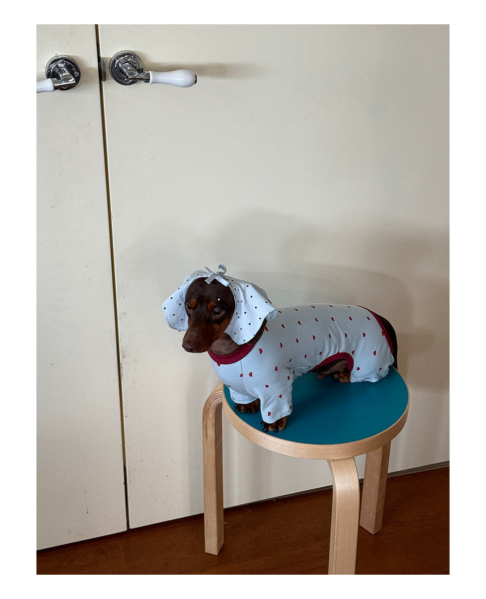 Twoll Sweet Heart Dog Onesie