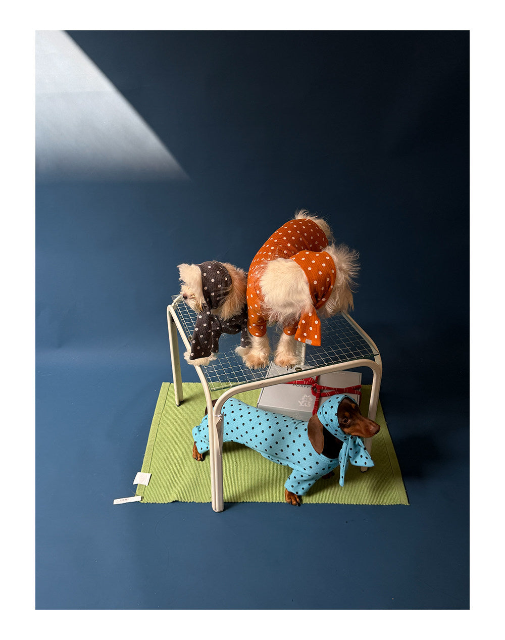 Twoll Polka Dot Winter Collection