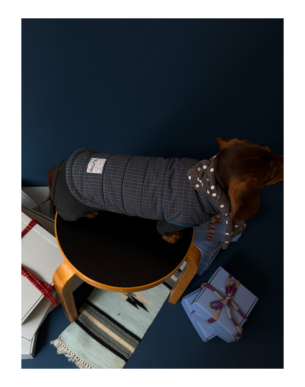 Twoll Quilted Puffer Dog Vest