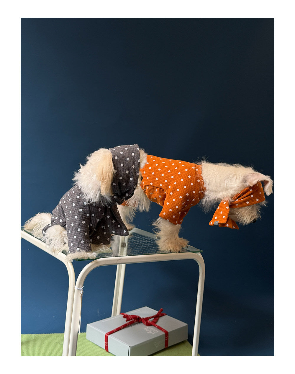 Twoll Polka Dot Winter Collection