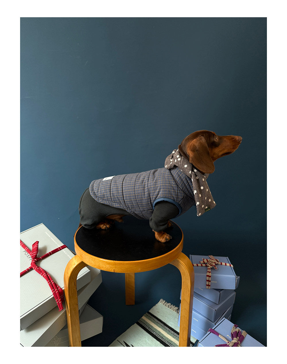 Twoll Quilted Puffer Dog Vest