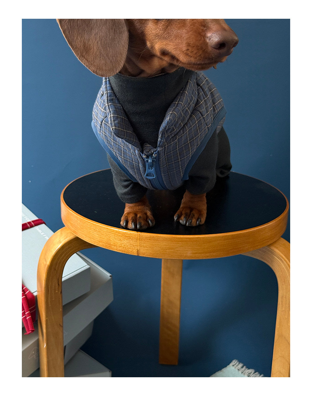 Twoll Quilted Puffer Dog Vest