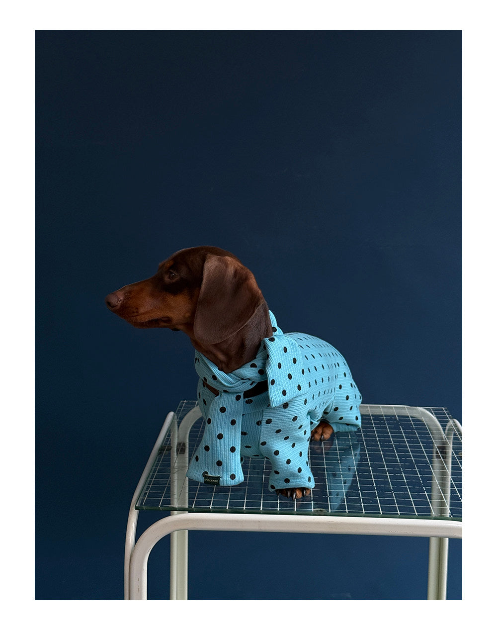 Twoll Polka Dot Winter Collection