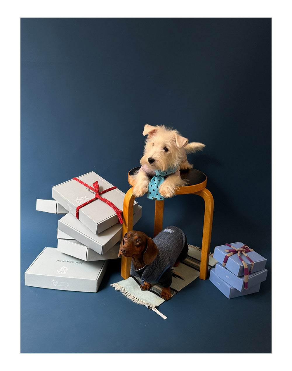 Twoll Quilted Puffer Dog Vest