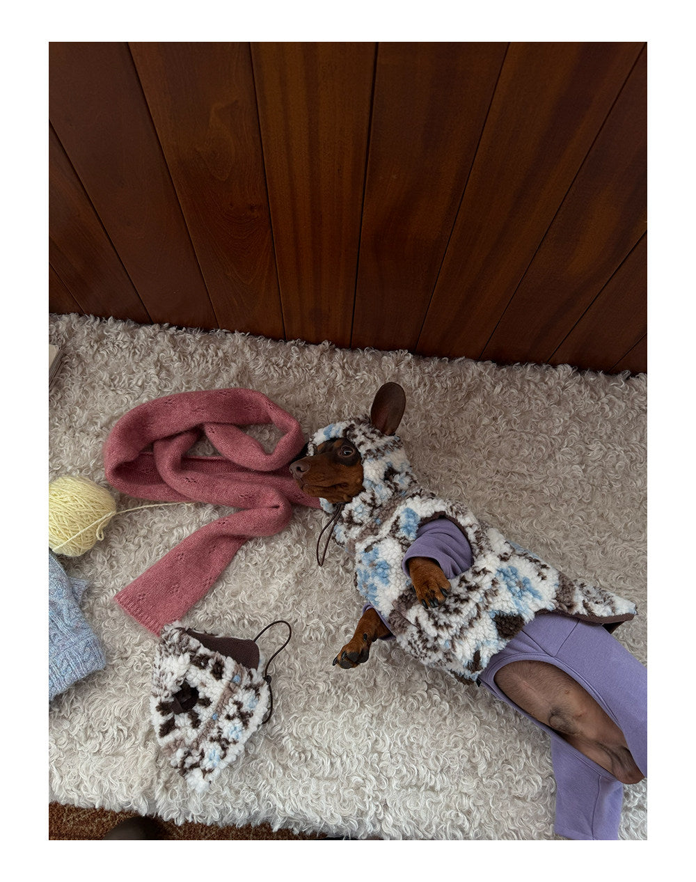 Twoll Cozy Sherpa Dog Vest & Hat