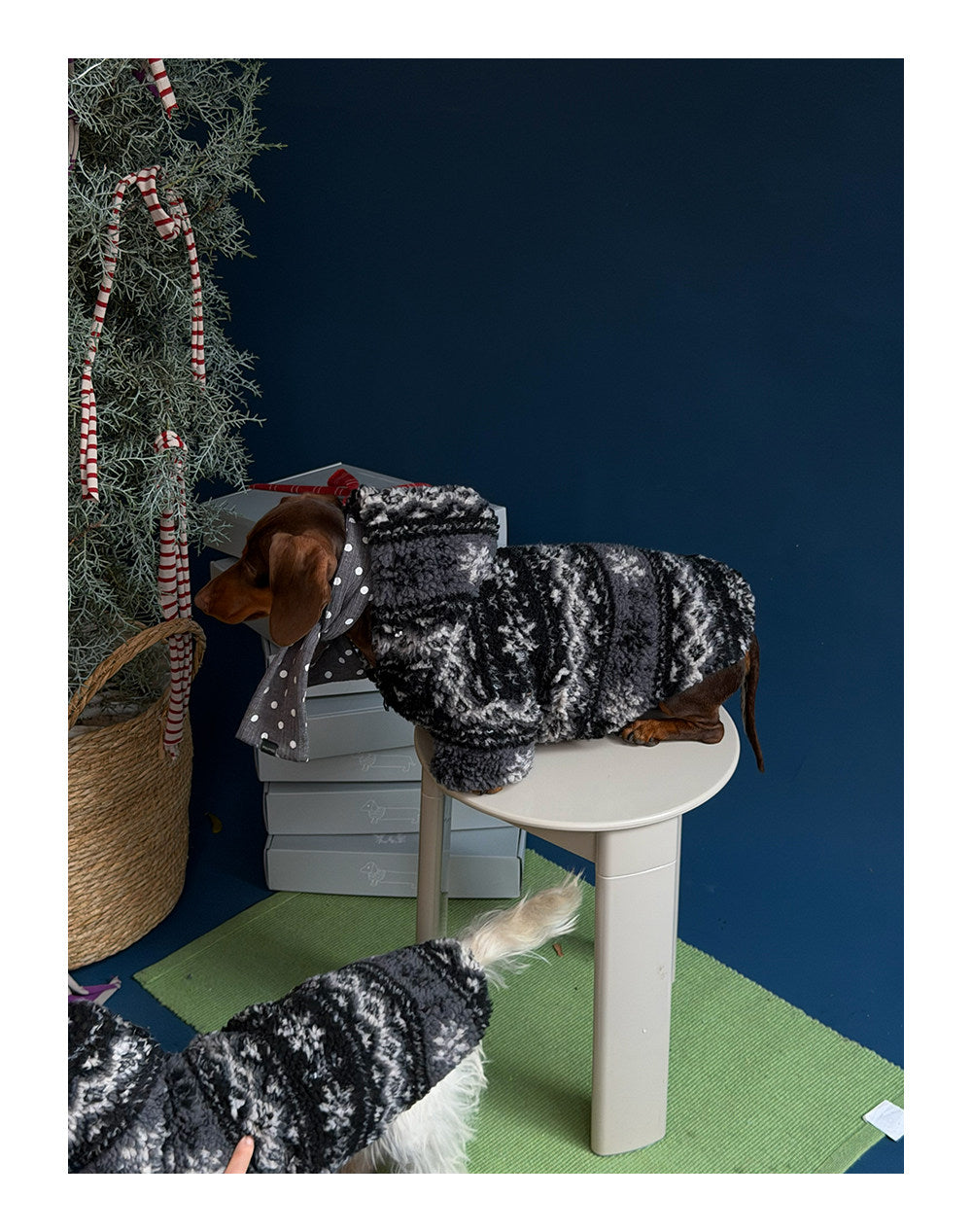Twoll Plush Sherpa Dog Jacket