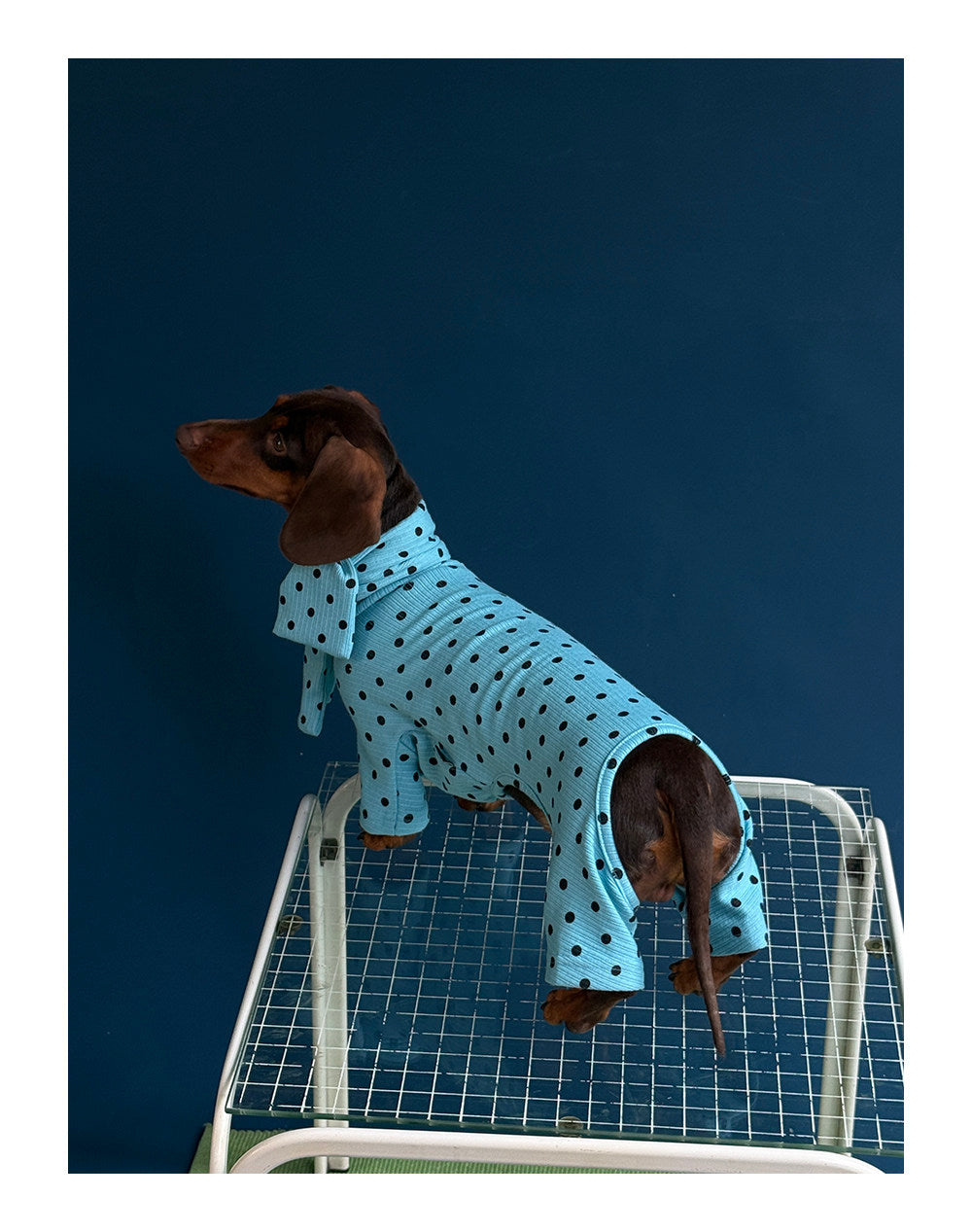 Twoll Polka Dot Winter Collection