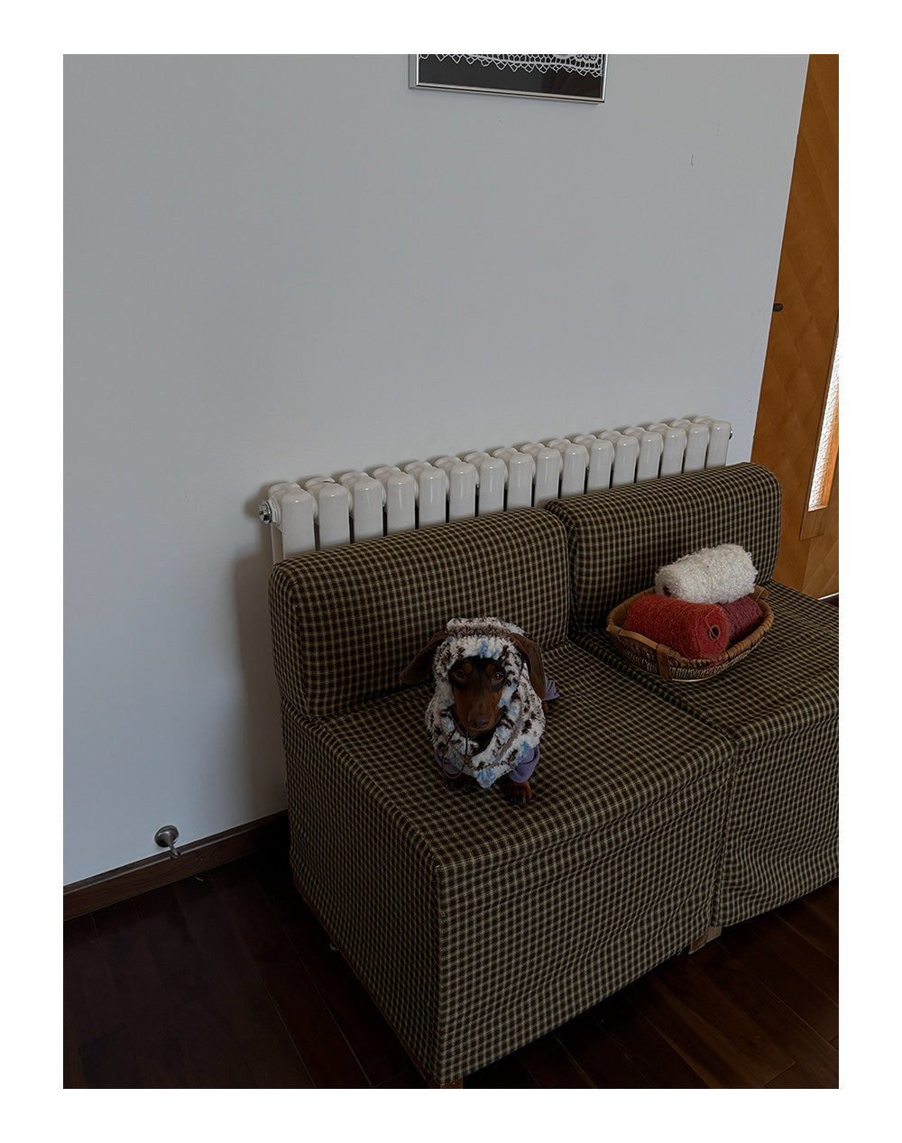 Twoll Cozy Sherpa Dog Vest & Hat
