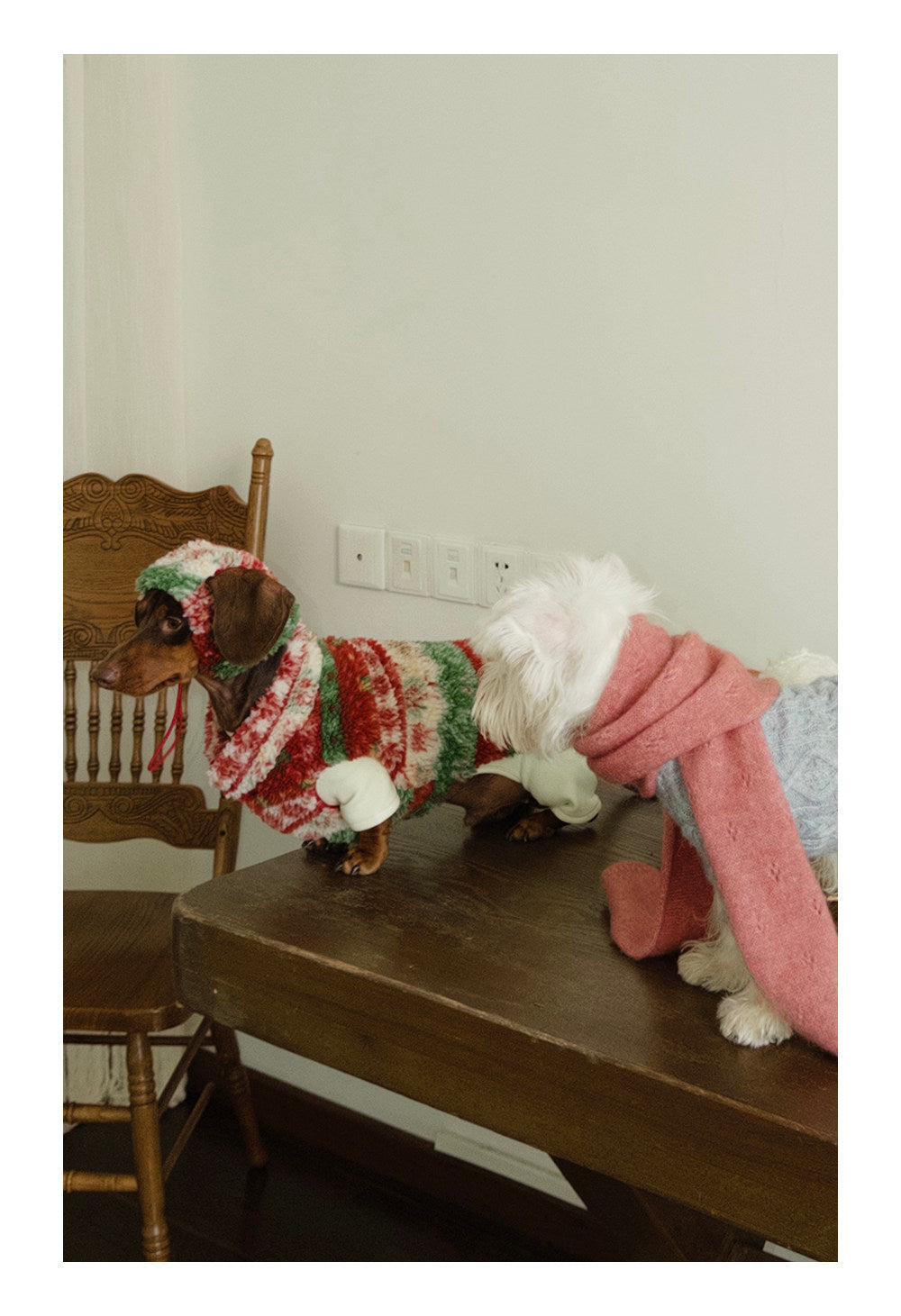 Twoll Christmas Sherpa Collection