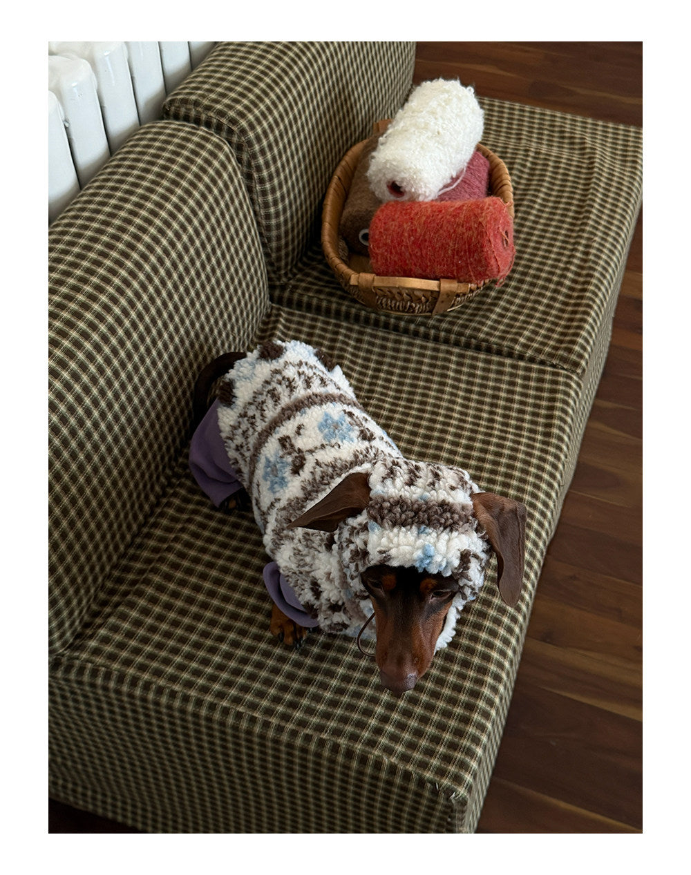 Twoll Cozy Sherpa Dog Vest & Hat