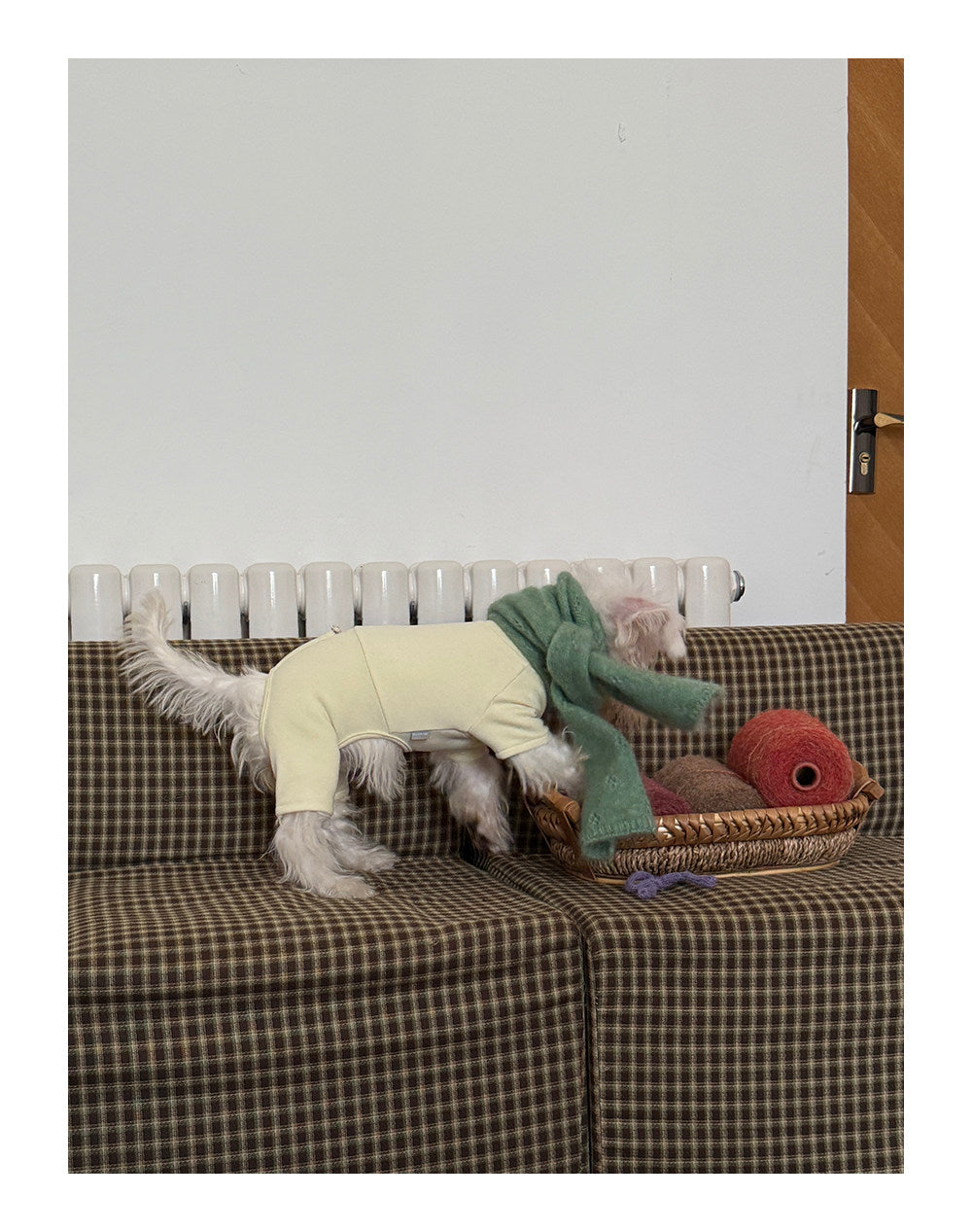 Twoll Everyday Fleece Dog Onesie
