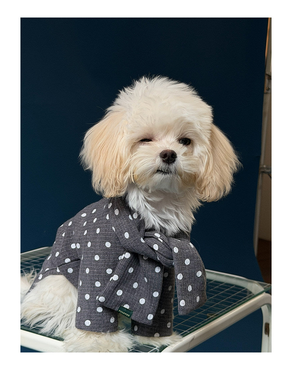 Twoll Polka Dot Winter Collection