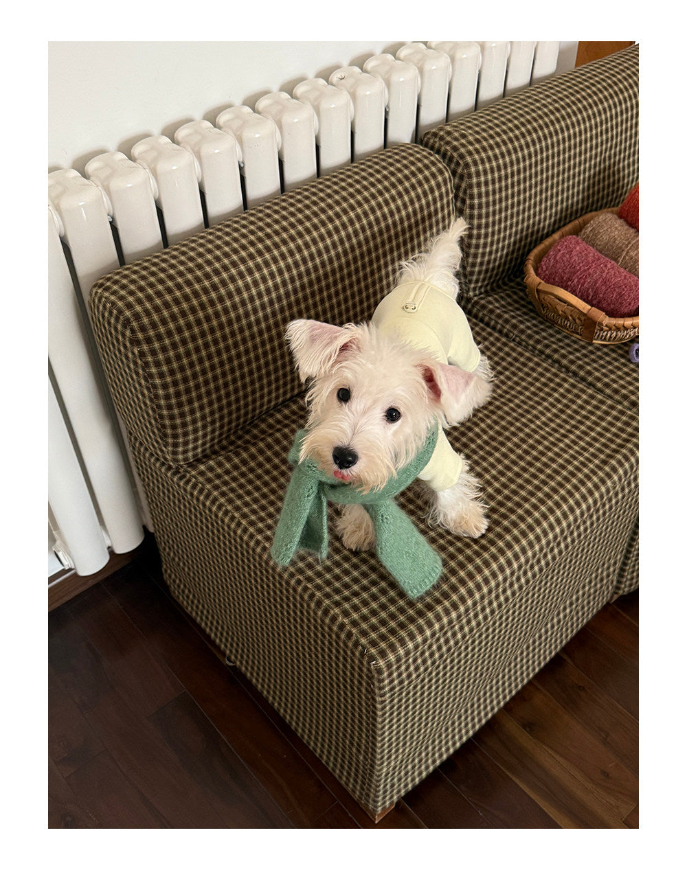 Twoll Everyday Fleece Dog Onesie