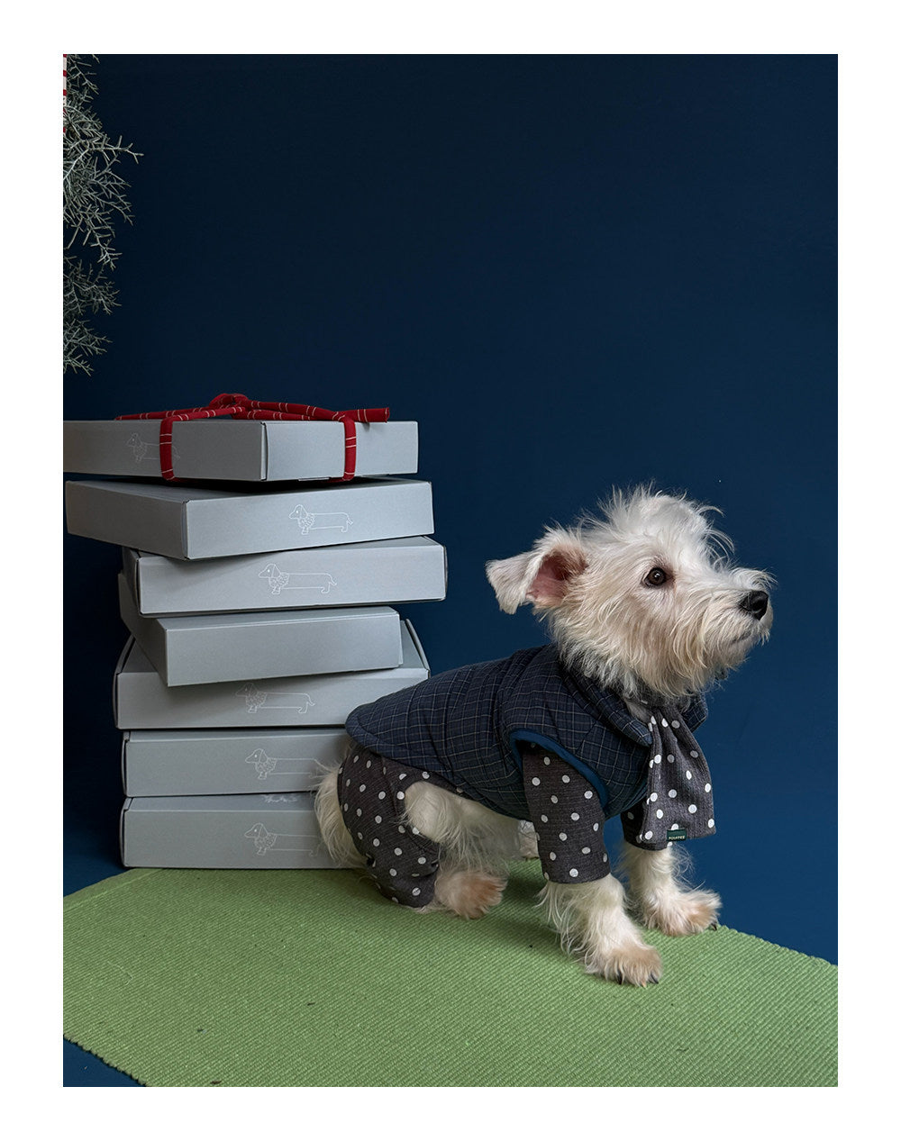 Twoll Quilted Puffer Dog Vest