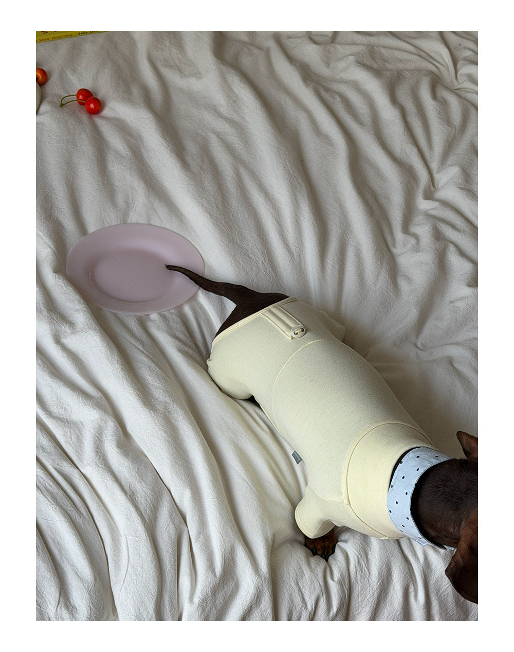 Twoll Everyday Fleece Dog Onesie