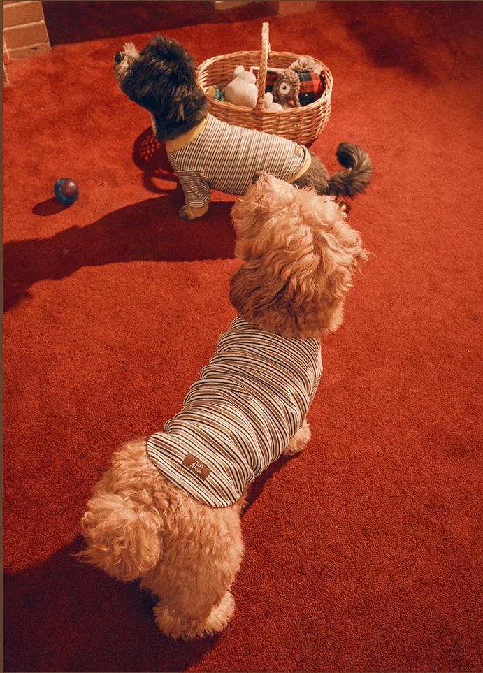 Twoll Vintage Stripe Cotton Dog Tee