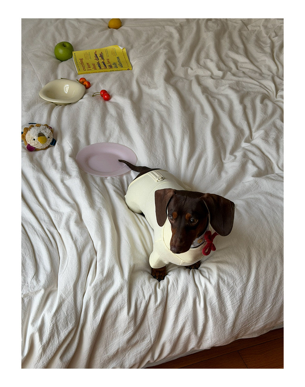 Twoll Everyday Fleece Dog Onesie