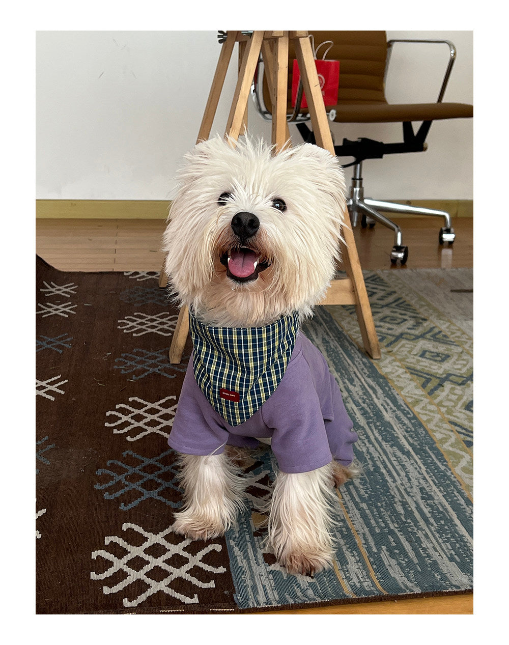 Twoll Everyday Fleece Dog Onesie