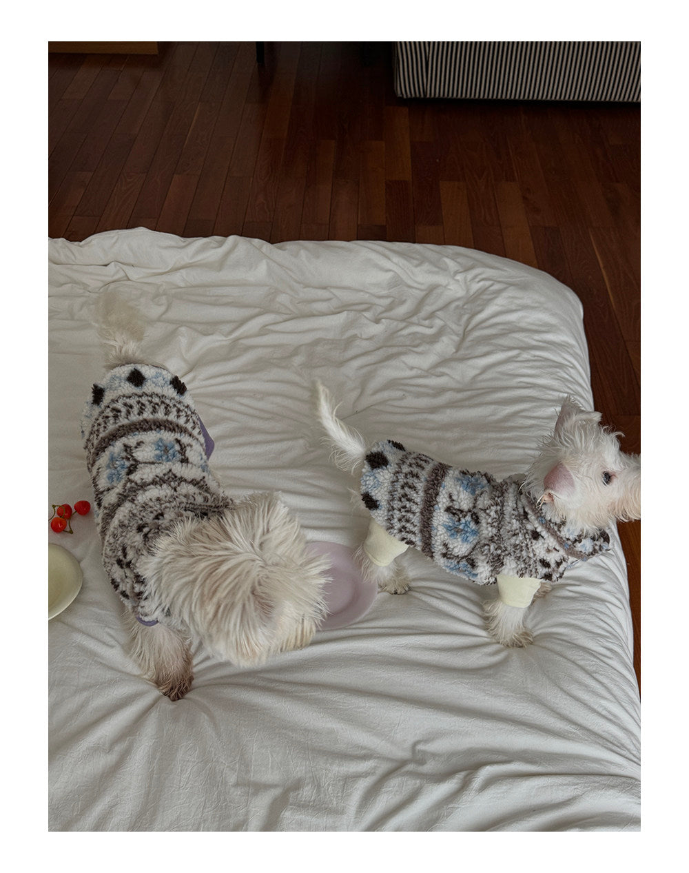 Twoll Cozy Sherpa Dog Vest & Hat