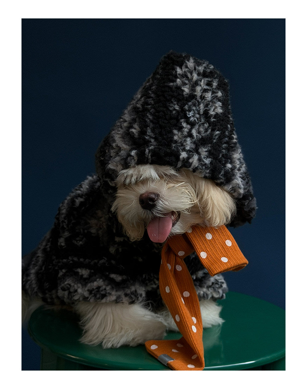 Twoll Plush Sherpa Dog Jacket