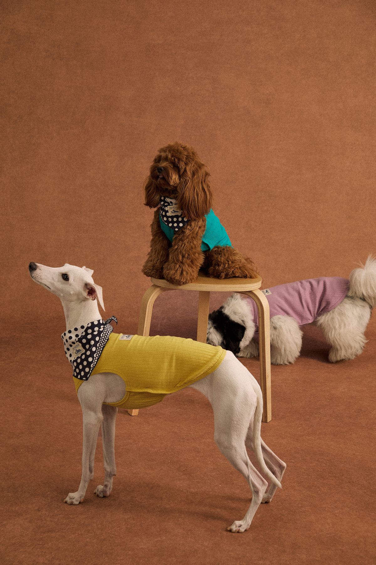 Twoll Lightweight Cotton Summer Tee for Dogs