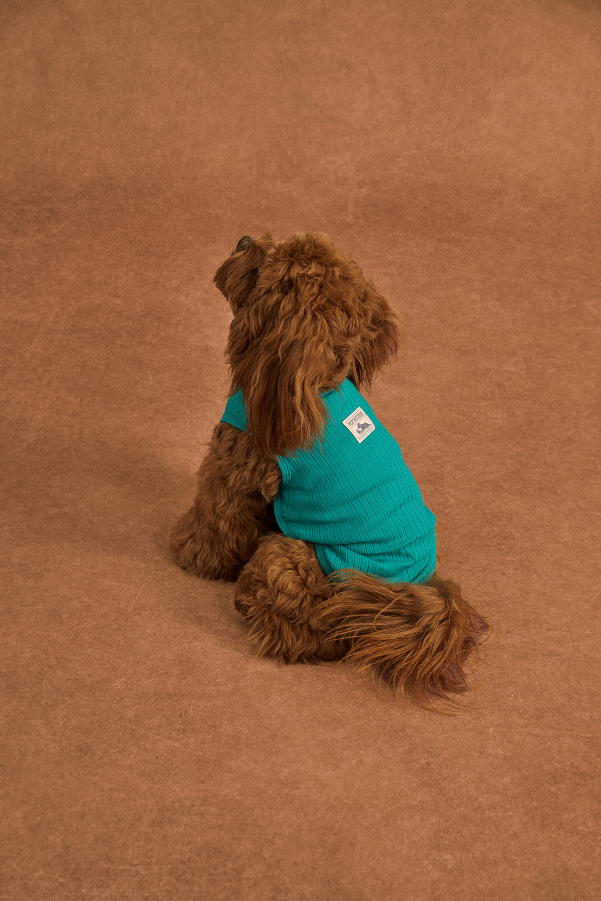 Twoll Lightweight Cotton Summer Tee for Dogs