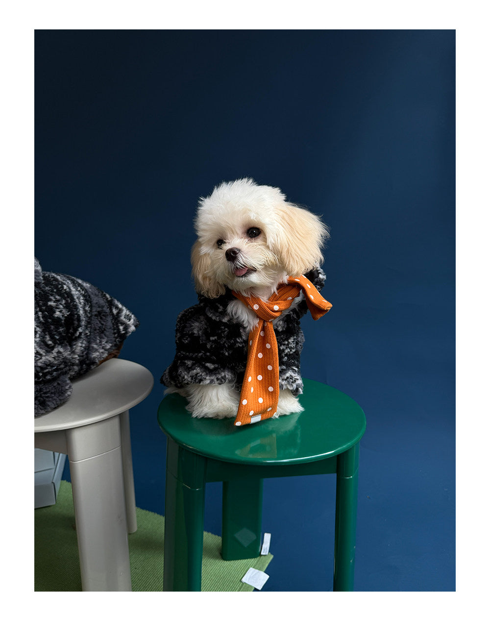 Twoll Plush Sherpa Dog Jacket